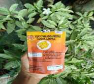 Kunyit Mangga